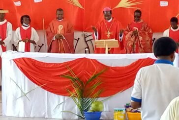 Le Dimanche des Rameaux à saint Michel de Niamey